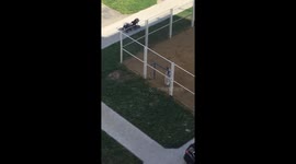 Baby learning to walk and a confused baby that didn’t know who he came with to the playground