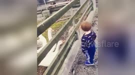 Angry goose teaches toddler a lesson