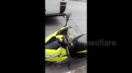 Moped rider finds a python slithering across his handle bars