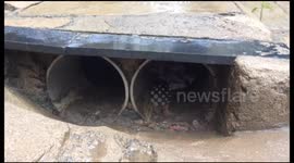 Newborn Pulled out of drainage in chennai