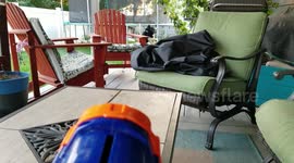 Dog snatches ball launched from Nerf gun out of the air
