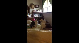 A fight to the death???
