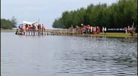 Turtle Camp