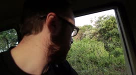 Tourist freaks out when 'angry' baboon tries to attack him through car window