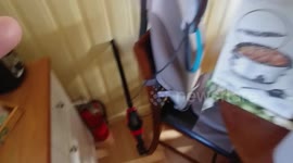 Cat Vs Vacuum part 2