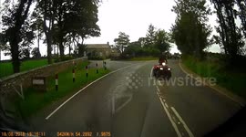 Cow jam in Wensleydale