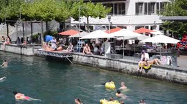 Limmatschwimmen 2017
