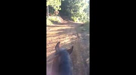 Viajando por la montaña en caballo Chiapas mexico