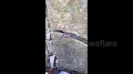 serpiente en piedra