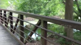 Lakeland Florida - DJI Phantom 4 Advanced