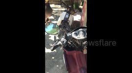 Foul mouthed bird swears at tourists in Vietnam