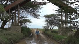 Mt. Kilimanjaro & Safari Through Tanzania: Serengeti National Park
