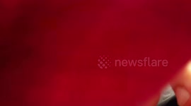 An amazing roller coaster at Montreal's La Ronde