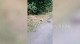 Brazen fly-tippers dump a MILE'S worth of rubbish along a single country lane