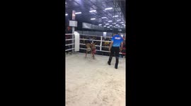Two five-year-olds boxing in Muay Thai fight
