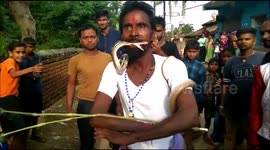 Indian tribal community performs terrifying stunts with deadly snakes