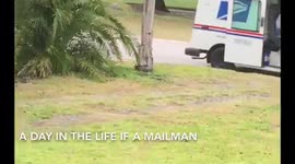 Mr.postman