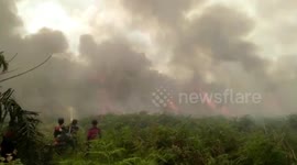Land and forest fires in Riau, Indonesia