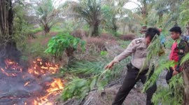 Residents and forest officials battle forest fire in Sumatra