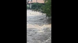 State of emergency declared in Wisconsin county after flash floods devastate cities