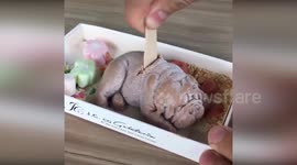 Cute or creepy? Dog-shaped ice-cream served in Taiwan restaurant
