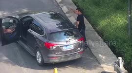Chinese driver does Tai Chi by side of road