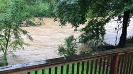 Creek reaching flood levels