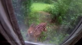 Violent Break-In Attempt - Keep your Doors Locked !