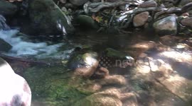 Waterfall Effect Fly by