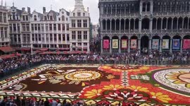 Brussels’ market square covered with nearly 1 million flowers
