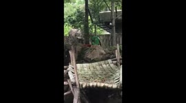 Crowd sings ‘Happy Birthday to You’ to Bei Bei the panda as he turns 3