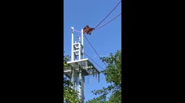 Orangutan Redd who will be two in September is getting closer to crossing the Smithsonian's National Zoo's O-Line by himself.