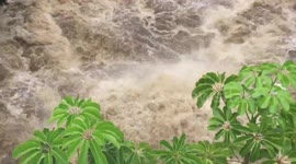 Raging flash flood waters tear through small coastal town of Hilo, Hawaii