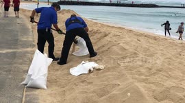 Workers fill up sandbags in Waikiki ahead of Hurricane Lane landfall