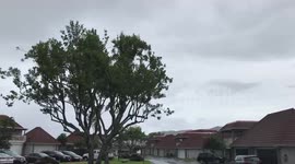 Hurricane Lane situation report