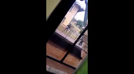 We have declared war against the University of Mpumalanga management and their friends from a renowned security company