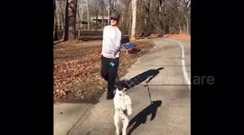 Adorable dog likes walking on 2 legs like humans