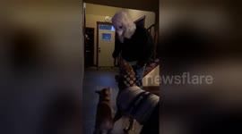 Dad freaks out dogs with a $10 poodle mask from Amazon