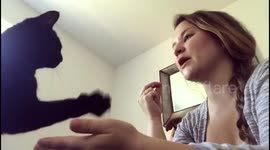 Debra the cat shaking both paws and giving kisses