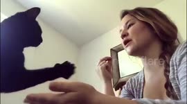 Deb the cat. Shake, other paw, shake, kisses.
