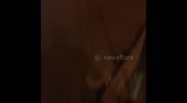 You know you are in Mexico when you hear those tunes lol