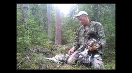 Sea Eagle ring marking