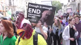 Thousands of vegans march through London to call for animal rights