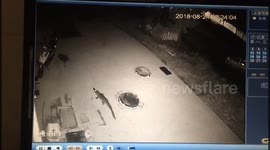 Police investigate after crocodile escapes from restaurant in eastern Chinese province