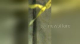 Newsflare Edit - Cartoon Conspiracy Theory One : Can you really slip on a banana peel?