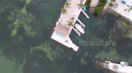 Surprise Finding of a Manatee with Aerial Footage