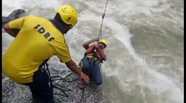 Rescue workers risk life to pull out horse from dangerous flood