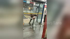 Sheffield woman urinates at bus stop in broad daylight