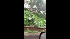 Kauai flooding