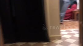 Flying duck at friends